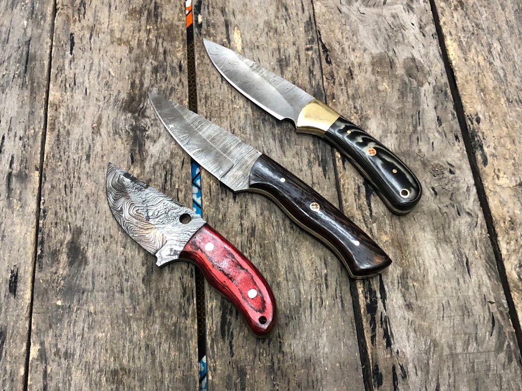 Coltello da cucina - Coltelli Skinners fatti a mano prestigiosi, acciaio forgiato a più strati, manico raro - Nord America - Fodere in pelle (KS17) #3.2
