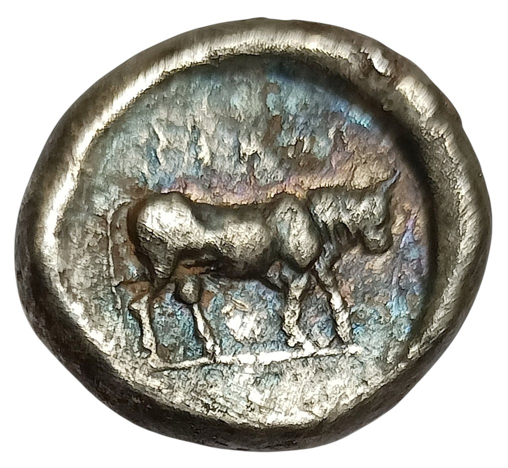 卢卡尼亚，波西多尼亚-佩斯图姆 Nomos c. 480-450 BC #1.0