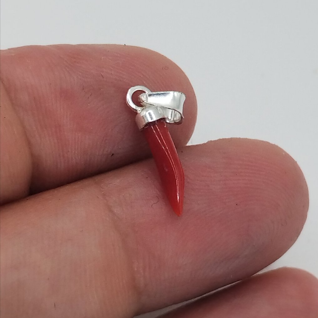 Red Coral Coral - Corallium rubrum  (No Reserve Price) #2.1