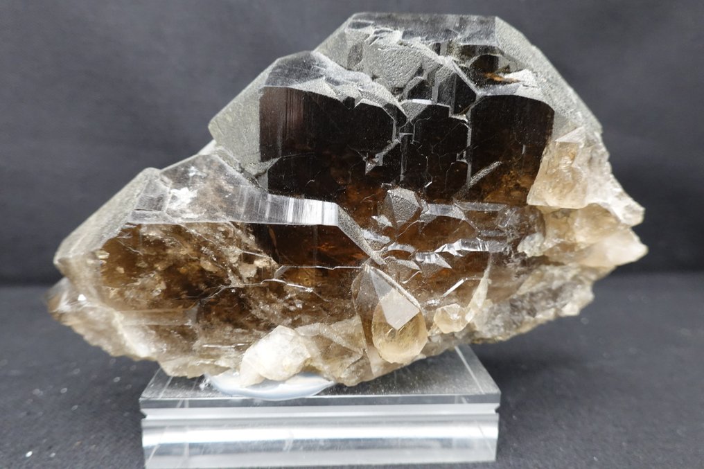 Nice colourful Smoky Quartz var Gwindel Specimen - Height: 13 cm - Width: 7.5 cm- 460 g #1.0