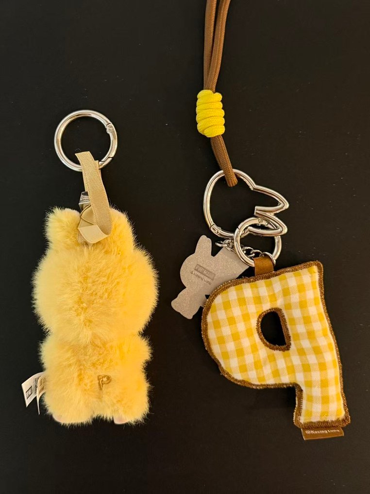 Pop Mart  - Statuetta giocattolo Labubu The Monsters Pin for Love Series "P" #1.0