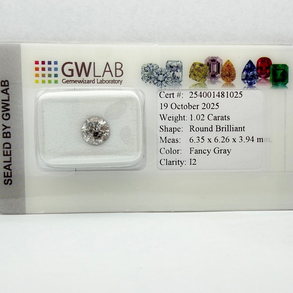 Utan reservationspris - 1 pcs Diamant (Naturligt färgad) - 1.02 ct - Rund - Fancy Grå - I2 - Gemewizard Gemological Laboratory (GWLab) #4.3