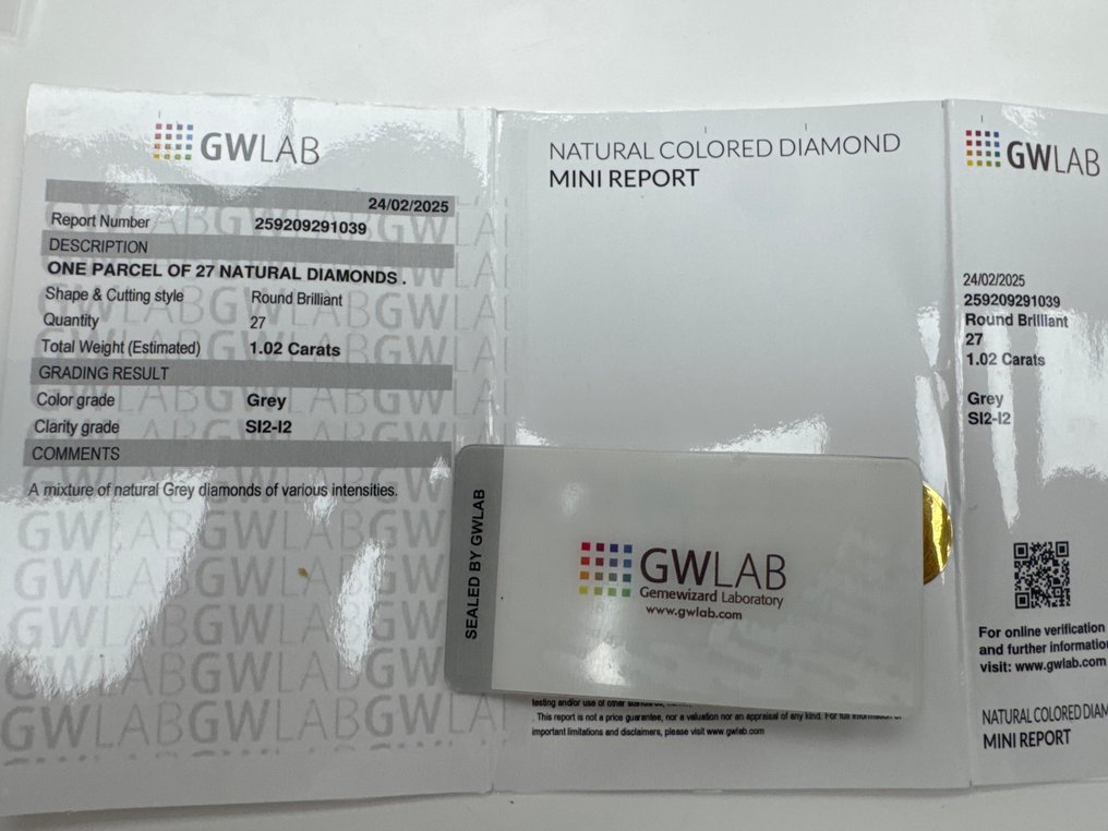 Zonder minimumprijs - 27 pcs Diamant  (Natuurlijk gekleurd)  - 1.02 ct - Rond Grijs - SI2, P1, P2 - Gemewizard Gemological Laboratory (GWLab) #3.2