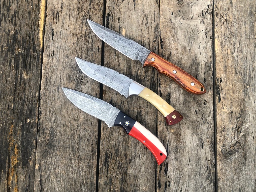 厨刀 - 声望手工剥皮刀，锻钢，木材、骨头及稀有手柄 - 北美 - 皮革套 PM3 #1.0