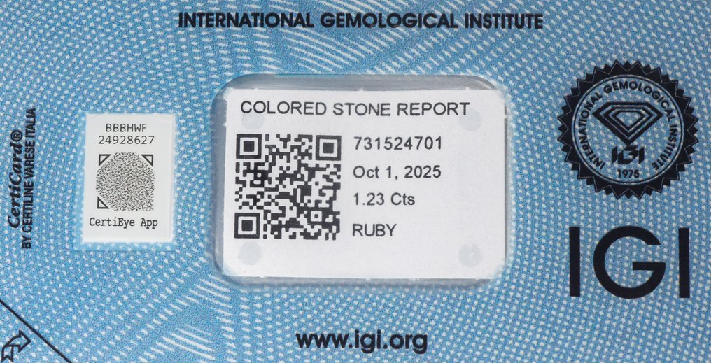 没有保留价 红宝石 - 1.23 ct - 国际宝石研究院(IGI) - 深紫红色 #4.3
