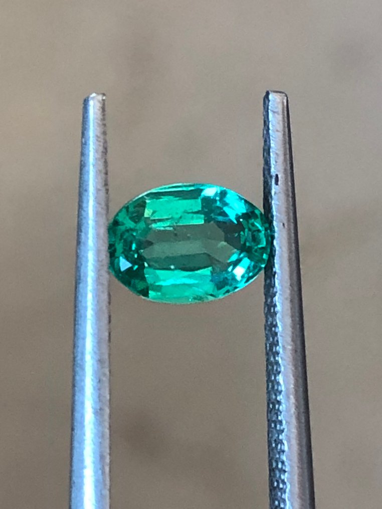 1 pcs 绿色 祖母绿 - 0.75 ct - 国际宝石研究院(IGI) - 无底价 #1.0