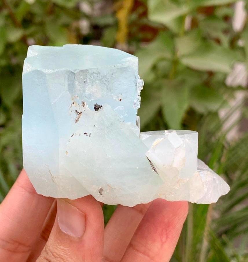Aquamarine Crystals Bunch with Mica Mineral Collection - Height: 68 mm - Width: 50 mm- 161 g - (1) #4.3