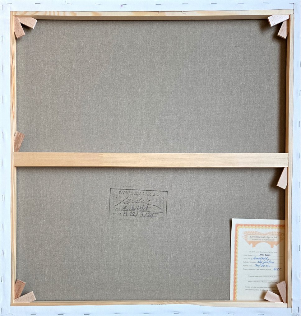 Artur Sudak - Architect #4.3