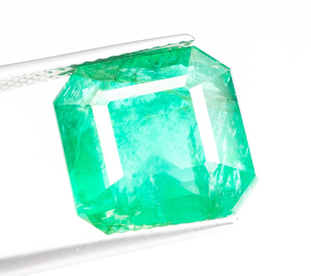 没有保留价 绿色 祖母绿 - 8.55 ct - 国际宝石研究院(IGI) - 赞比亚 #1.0