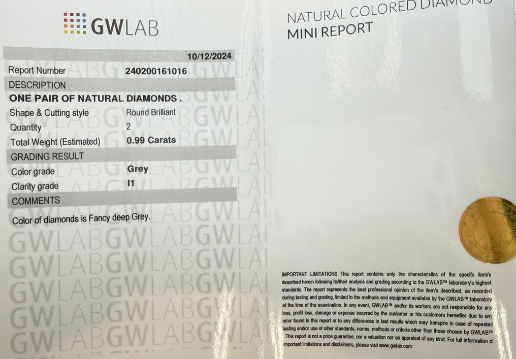 Zonder minimumprijs - 2 pcs Diamant (Natuurlijk gekleurd) - 0.99 ct - Rond Grijs - P1 - Gemewizard Gemological Laboratory (GWLab) #2.1