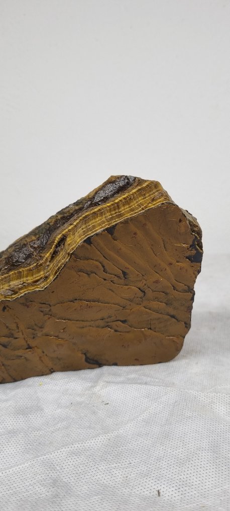 Tiger Eye Freeform - Height: 17 cm - Width: 12 cm- 1.73 kg - (1) #1.0
