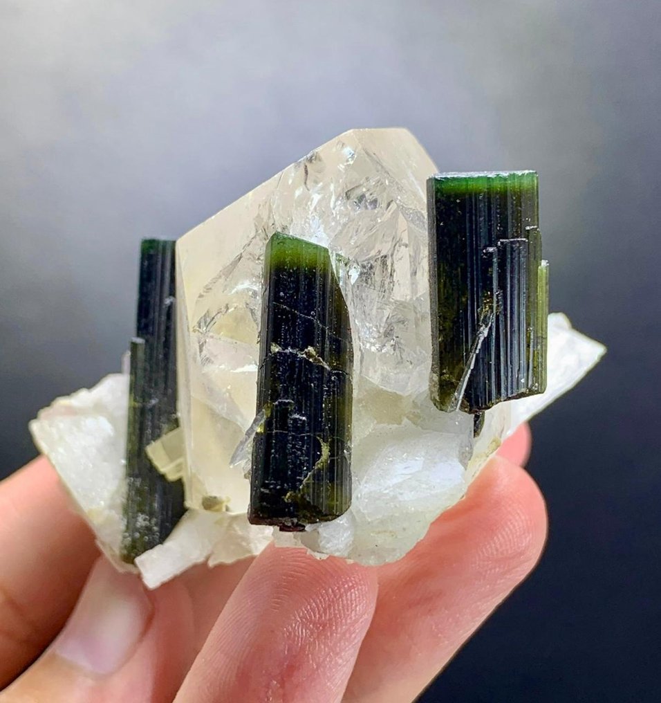 Green Cap Tourmaline Crystals Bunch with Quartz on Matrix Mineral Collection - Height: 60 mm - Width: 56 mm- 119 g - (1) #1.0