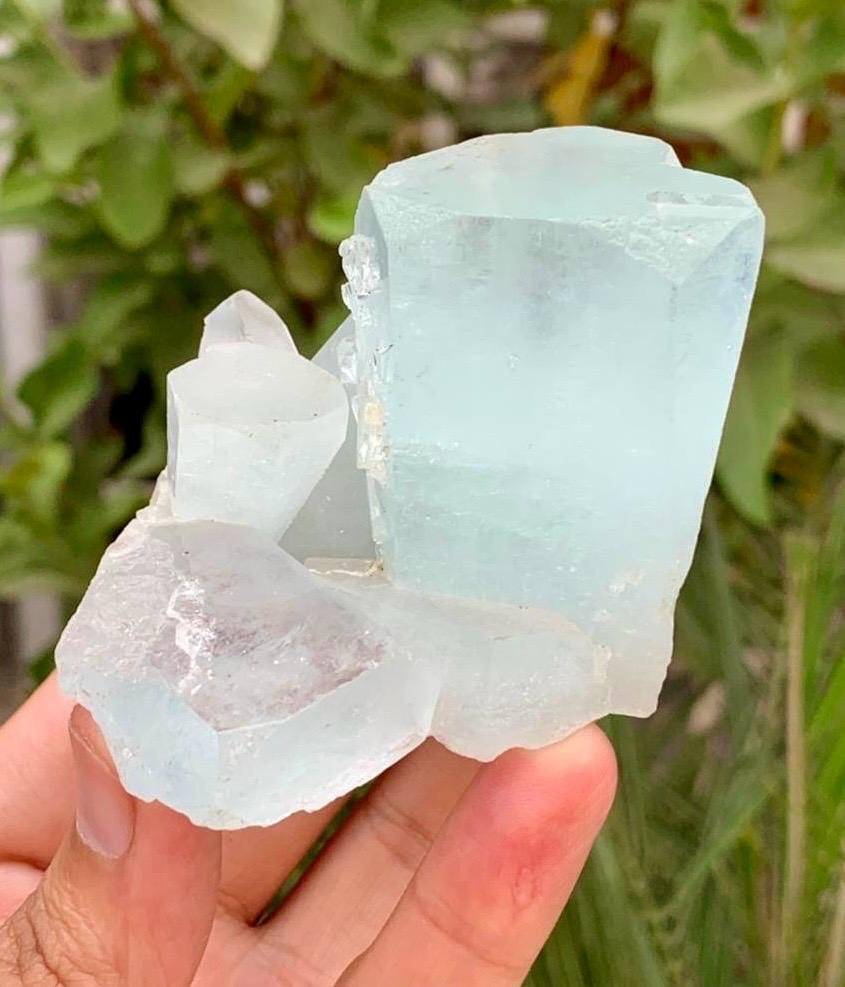 Aquamarine Crystals Bunch with Mica Mineral Collection - Height: 68 mm - Width: 50 mm- 161 g - (1) #2.1