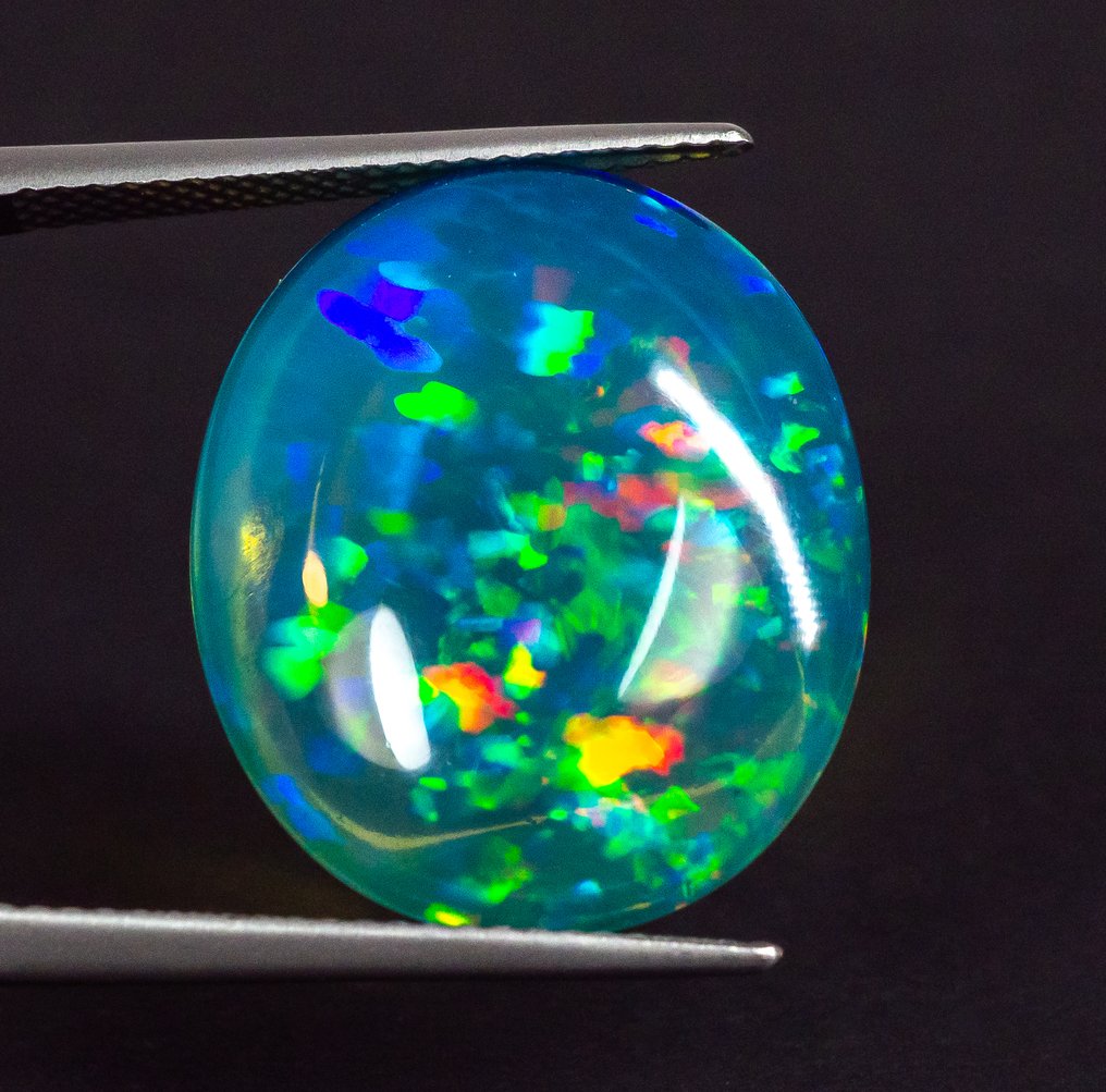 No reserve price Opal - 15.95 ct - Antwerp Laboratory for Gemstone Testing (ALGT) - Blue 'Play of Colors' #3.2