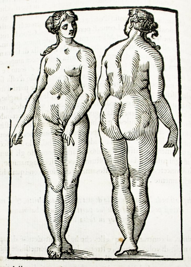 Della Porta / Ingegneri / Monteccuoli - Fisonomia dell'Huomo / Celeste Fisonomia / Naturale / di Polemone - 1622-1623 #1.0