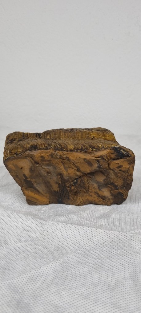 Tiger Eye Freeform - Height: 12 cm - Width: 7.5 cm- 2.13 kg - (2) #1.0