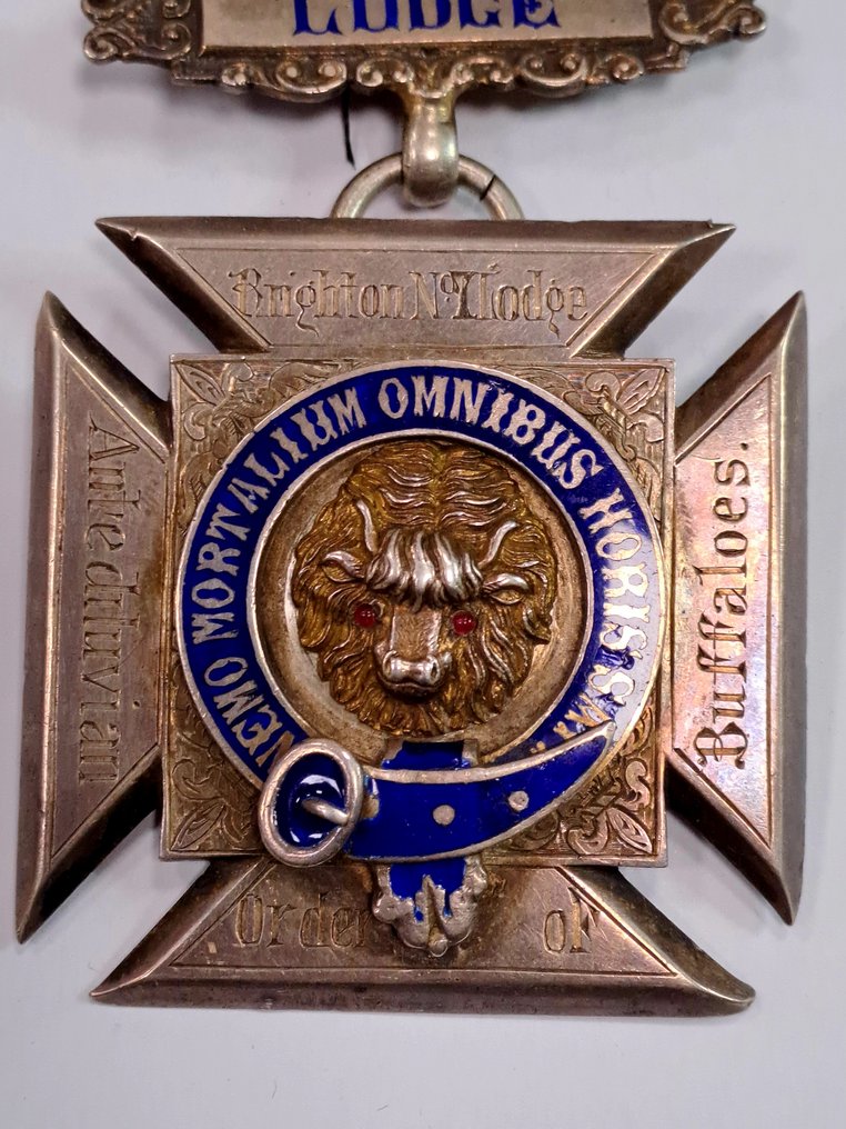 Regatul Unit - Accesorii militare - 1894 #1.0