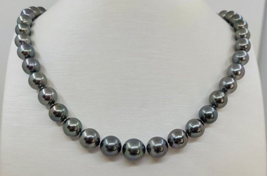 Kaulakoru PSL-sertifioidut Tahitian-helmet - 8,0x11,4 mm, Hopea #2.1