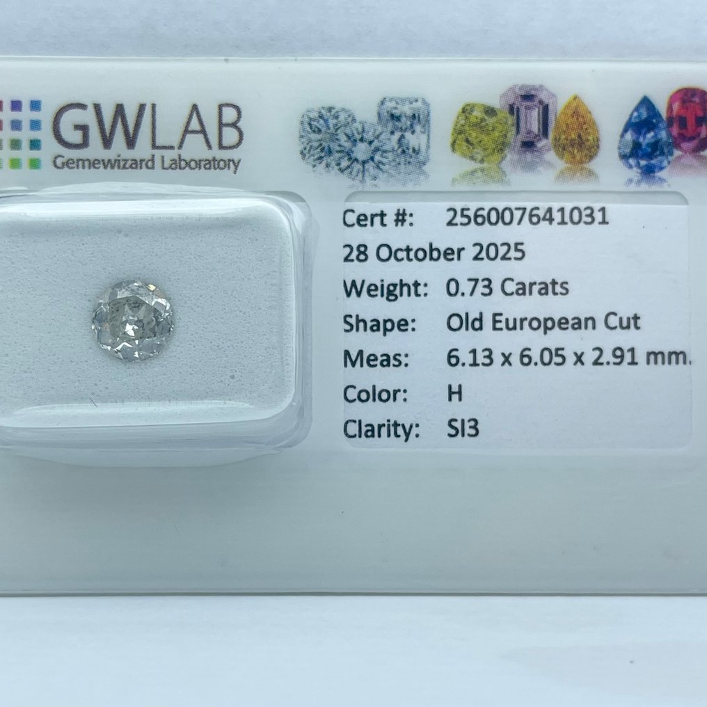 没有保留价 - 1 pcs 钻石  (天然)  - 0.73 ct - 圆形 - H - SI2 微内三含级 - Gemewizard宝石实验室（GWLab） #1.0