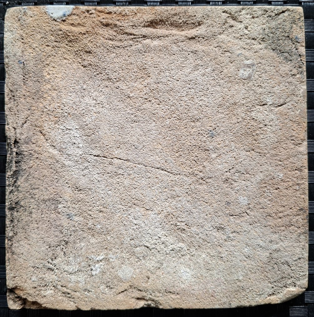Tile - Antique tile with bird. - 1600-1650 #1.0
