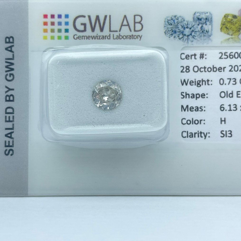 没有保留价 - 1 pcs 钻石  (天然)  - 0.73 ct - 圆形 - H - SI2 微内三含级 - Gemewizard宝石实验室（GWLab） #3.2