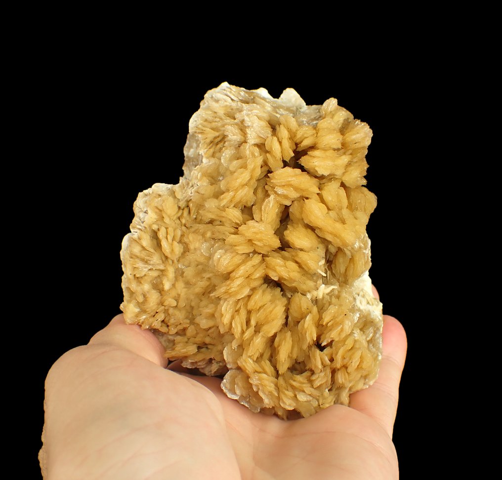 Baryte fluorescente – Miniera KGHM, Lubin, Polonia Cristalli su matrice - Altezza: 88 mm - Larghezza: 80 mm- 796 g #1.0