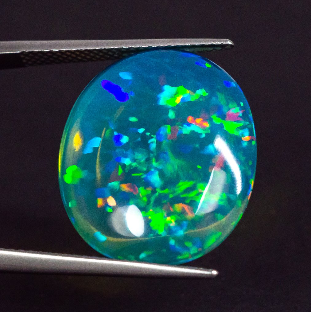 No reserve price Opal - 15.95 ct - Antwerp Laboratory for Gemstone Testing (ALGT) - Blue 'Play of Colors' #4.3