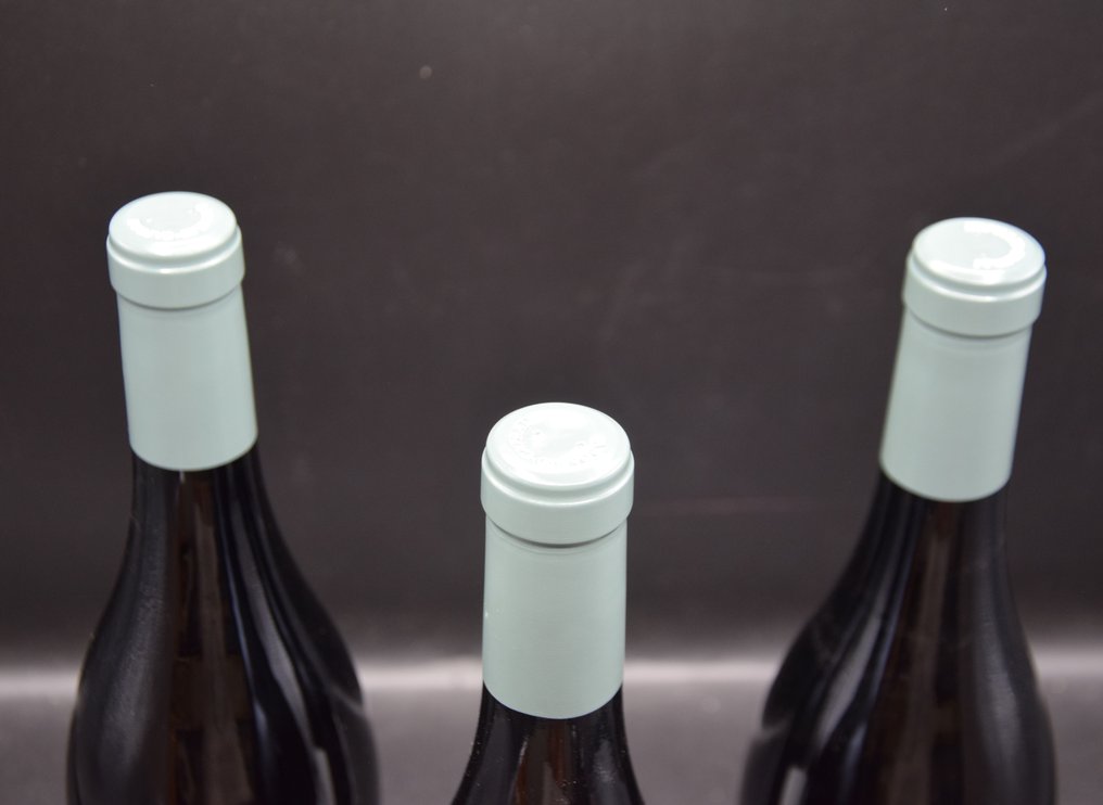 2018 Arnaldo Caprai, Malcompare - Umbria - 3 Bottles (0.75L) #4.3