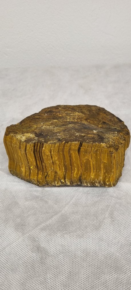 Tiger Eye Freeform - Height: 12 cm - Width: 7.5 cm- 2.13 kg - (2) #4.3