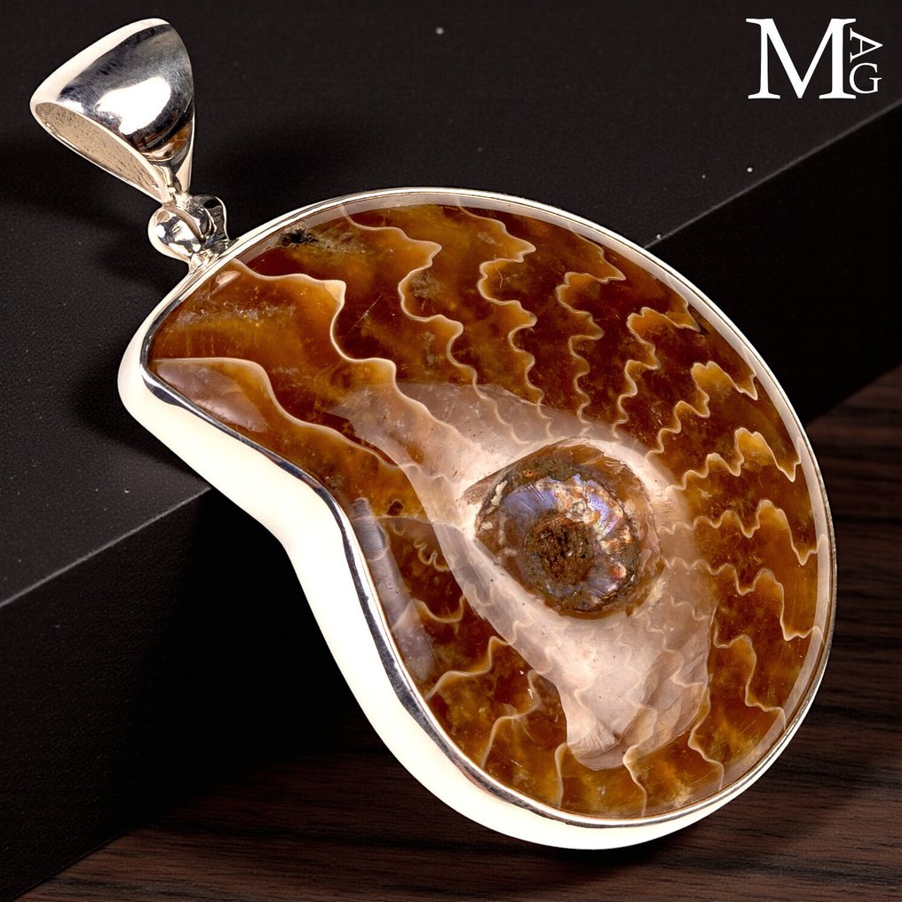 bijuterii Jurassic Pandantiv din argint sterling cu ammonit fosilizat – secțiune cu cusături dendritice - Înălțime: 54 mm - Lățime: 33.7 mm- 22 g #4.3