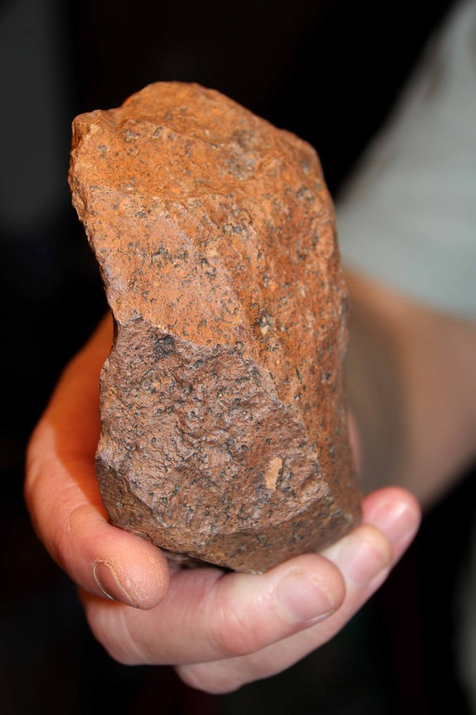 Παλαιολιθική Πήλινα Διπλόσχημα - 95 mm (χωρίς τιμή ασφαλείας) #2.1