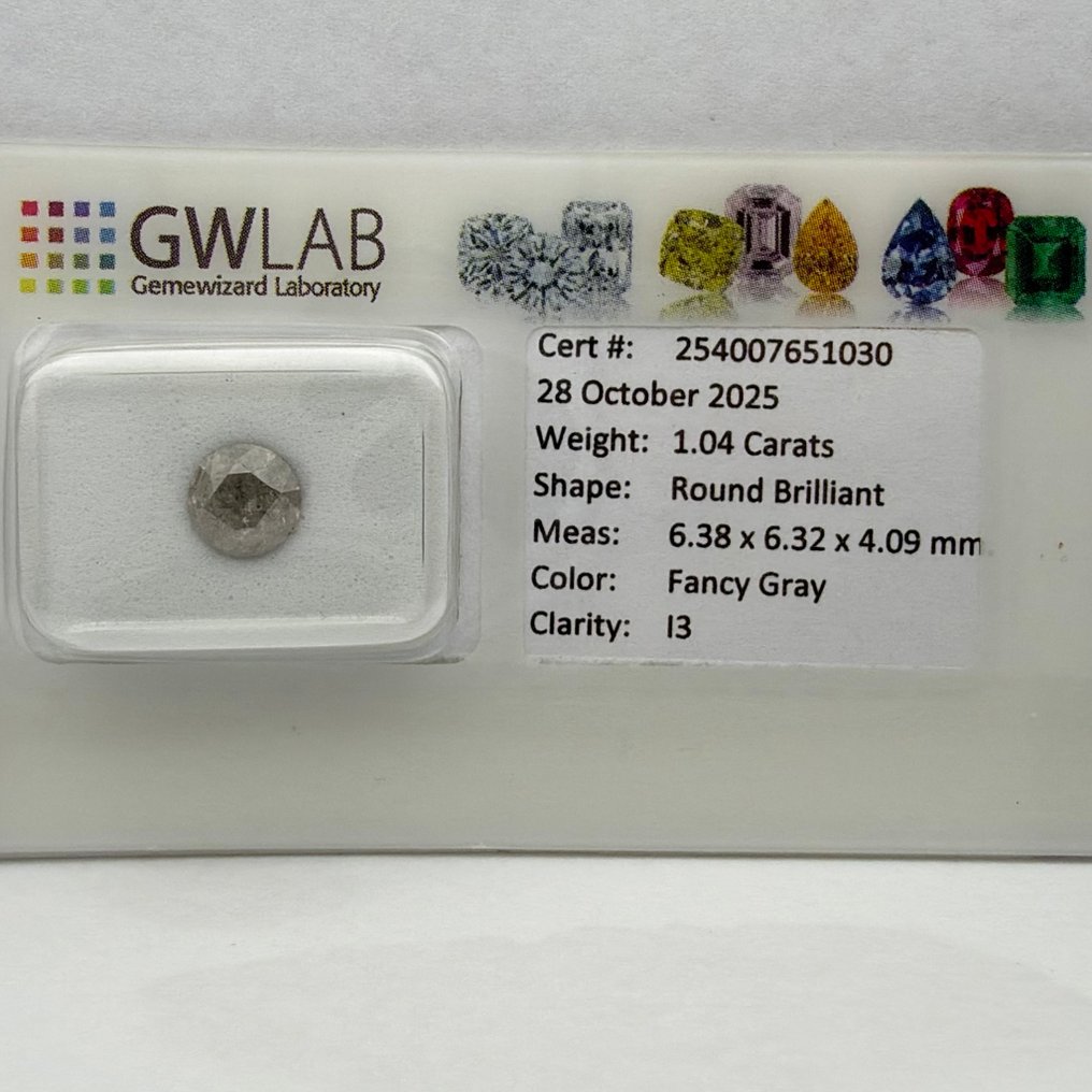 No Reserve Price - 1 pcs Diamond  (Natural coloured)  - 1.04 ct - Round - Fancy Grey - I3 - Gemewizard Gemological Laboratory (GWLab) #1.0