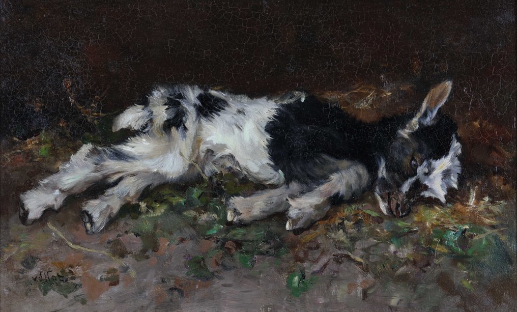 Willem Hendrik van der Nat (1864–1929) - Liggend geitje #1.0