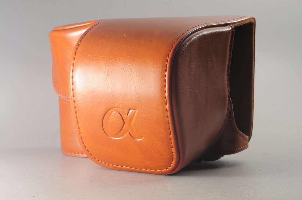 Sony α6000 + Silver 16-50mm Lens ILCE-6000 ''Japanese Version'' #4098 Digital reflex camera (DSLR) #4.3