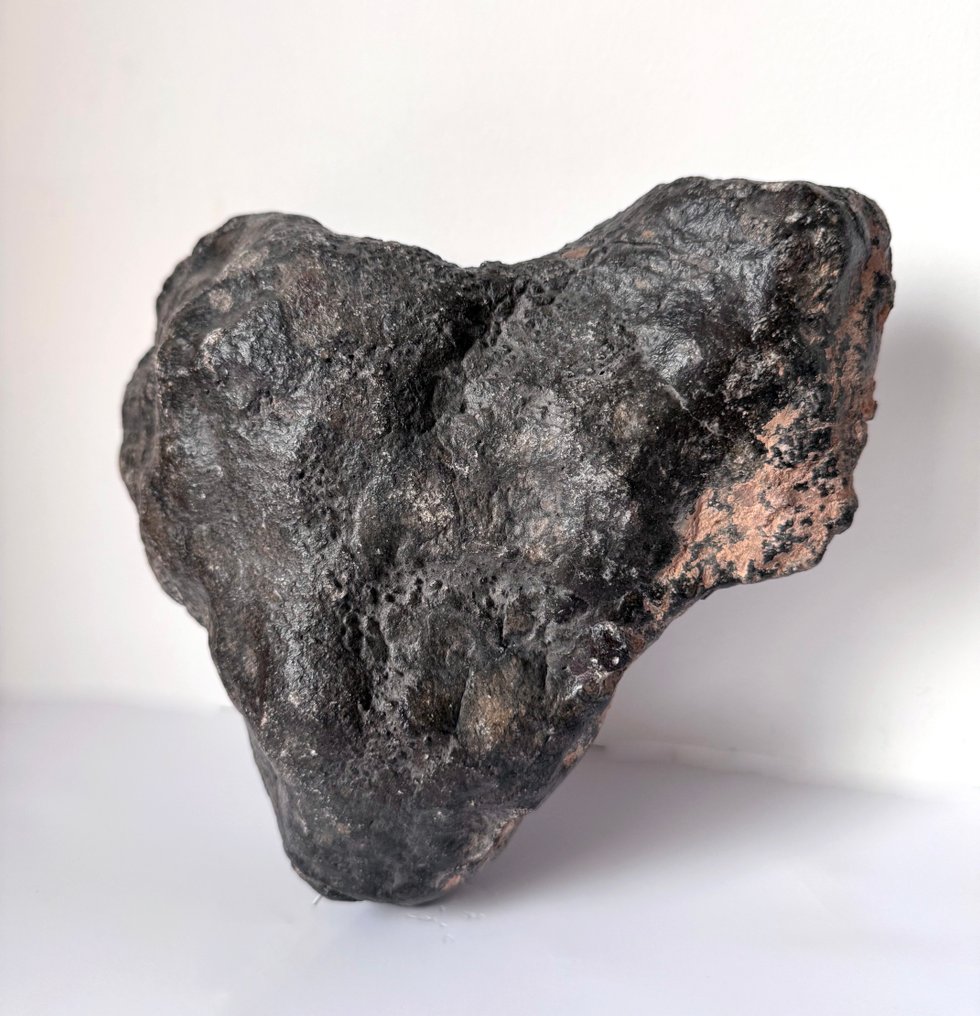 Φυσικά σε σχήμα καρδιάς – μια σπάνια και ρομαντική μορφή σμιλεμένη από τη φύση η ίδια. Breccia Eucrite από τη Vesta σε ζεύξη με το NWA 17011. - 7830 g - (1) #1.0