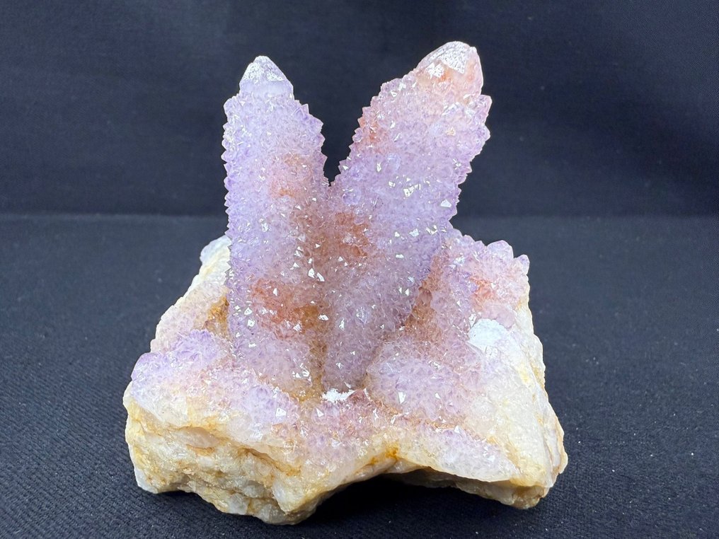 Quartz var. Amethyst și Cactus Specimen - Înălțime: 8 cm - Lățime: 8 cm- 246 g #1.0