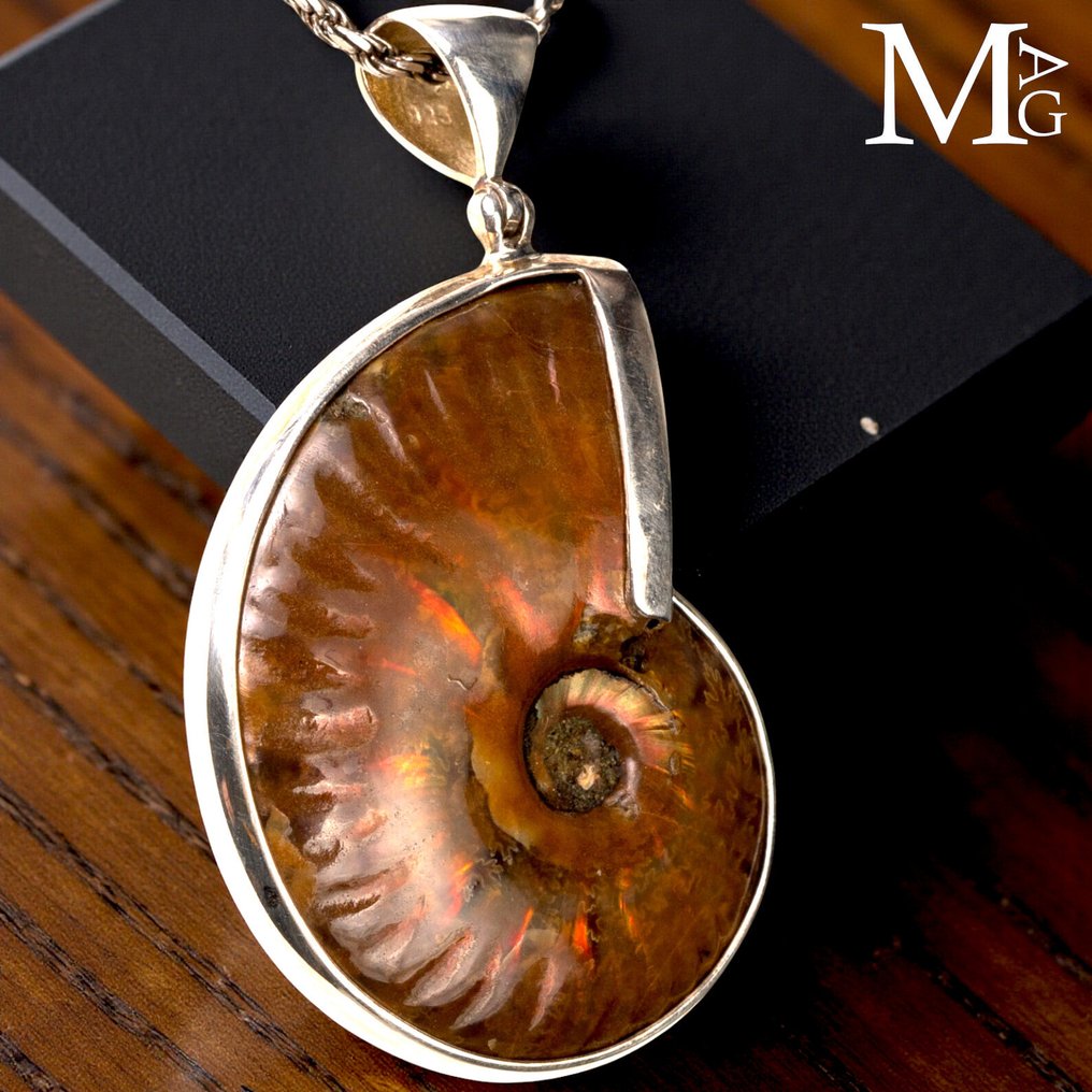 Jurassic Jewellery Sterling silver pendant with iridescent Cleoniceras ammonite - Height: 54.5 mm - Width: 33 mm- 24 g #2.1