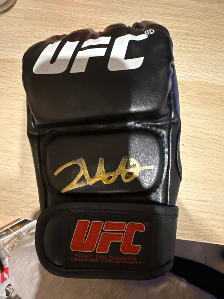 MMA / UFC - Weili Zhang - 2025 - MMA gloves #2.1