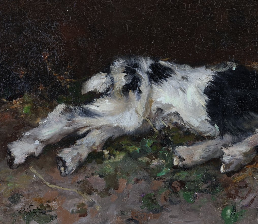 Willem Hendrik van der Nat (1864–1929) - Liggend geitje #2.1