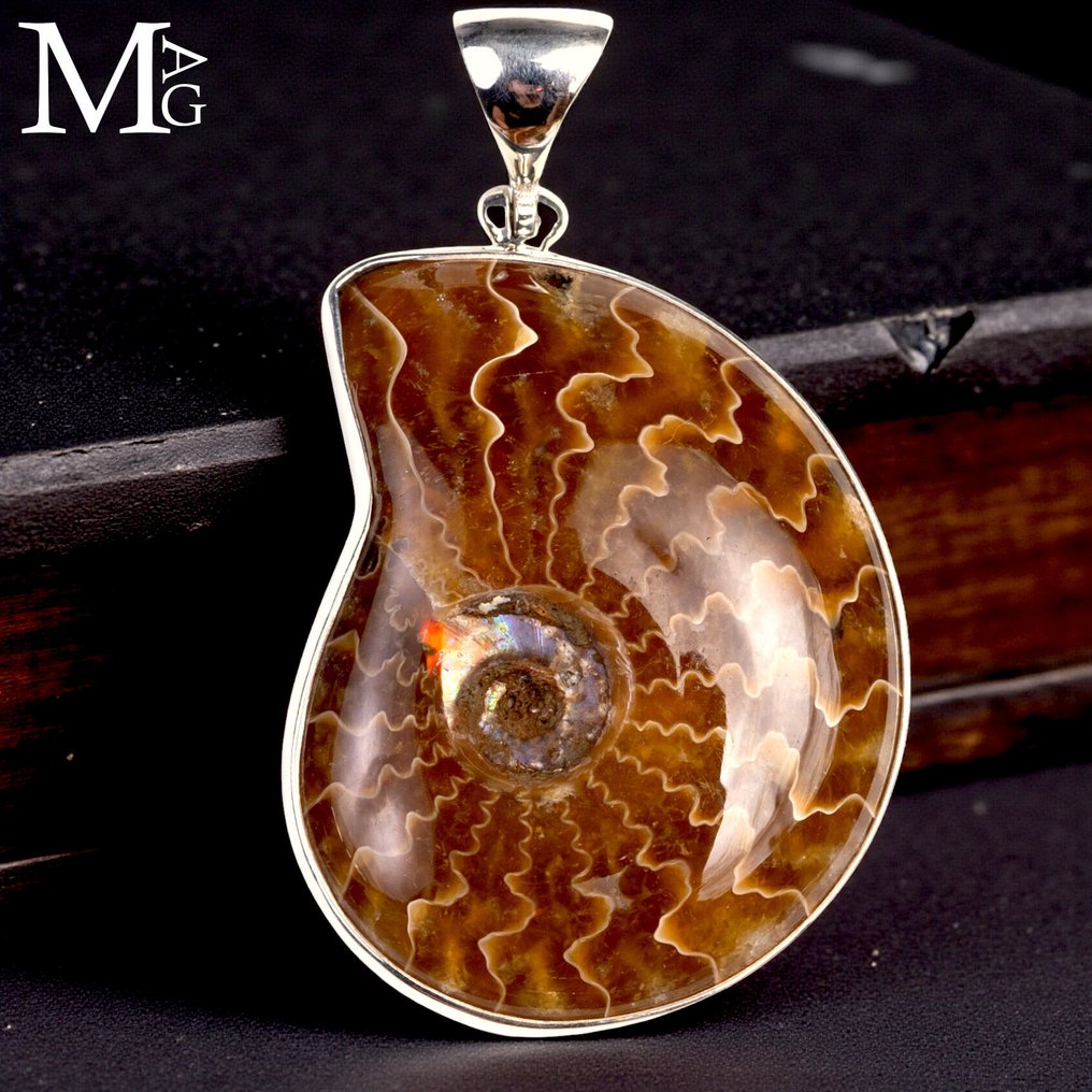 bijuterii Jurassic Pandantiv din argint sterling cu ammonit fosilizat – secțiune cu cusături dendritice - Înălțime: 54 mm - Lățime: 33.7 mm- 22 g #1.0