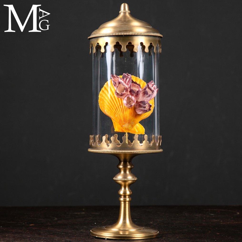 装饰玻璃铃 海洋遗物——带有藤壶的黄色扇贝胶囊 - 高度: 310 mm - 宽度: 100 mm- 1000 g #1.0