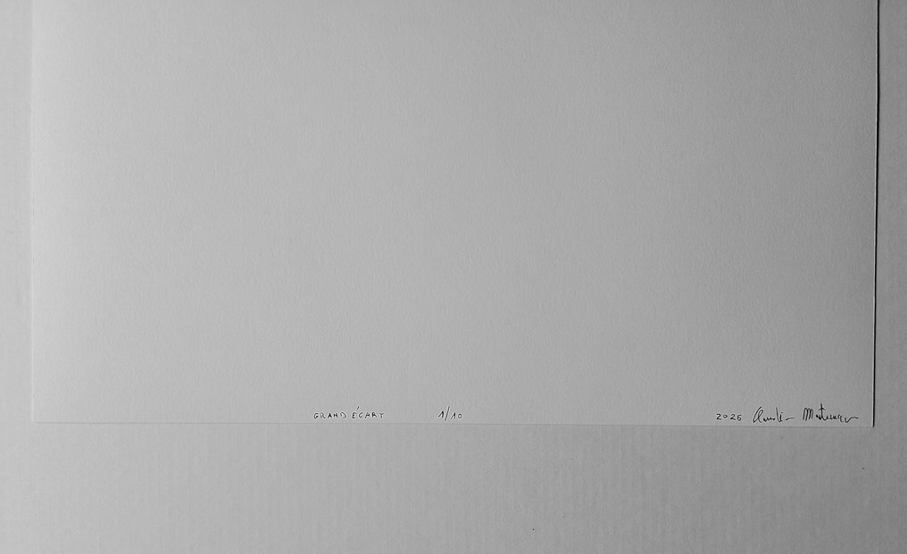 Claudio Montecucco - grand écart #2.1