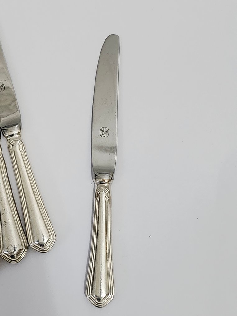 Salvinelli, Maison Rougier - Faqueiro (86) - Aço #3.2