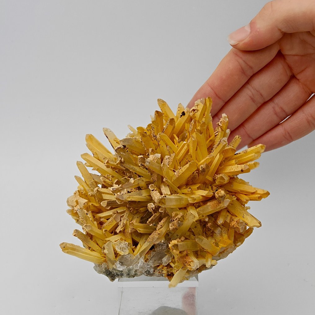 Fantastic yellow quartz RICCIO with limonite, calcite, and siderite Crystals on matrix - Height: 109 mm - Width: 92 mm- 319 g #1.0