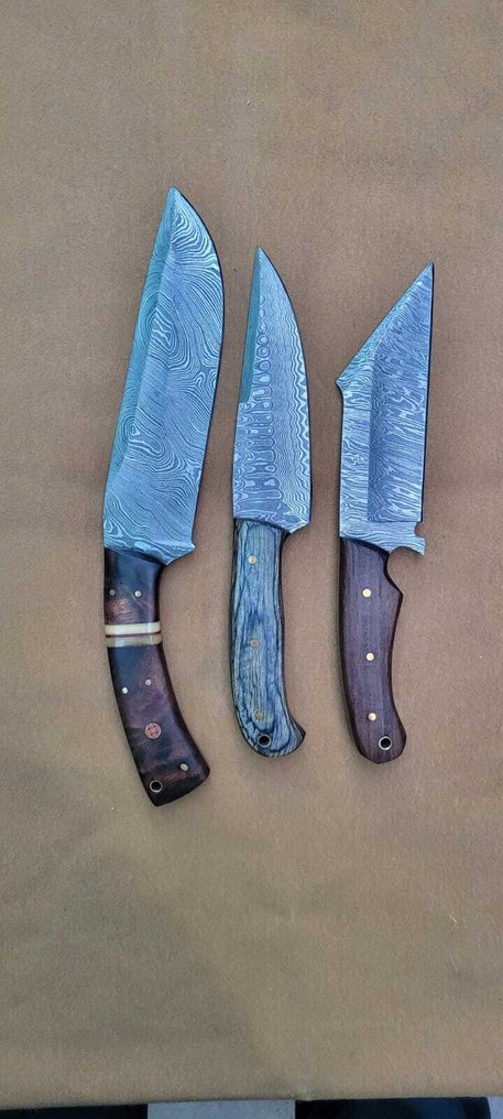 廚刀 - Kitchen knife set -  手工厨房刀 - 鋼, 木, 骨 - 美國 - 配有皮革袋 #2.1