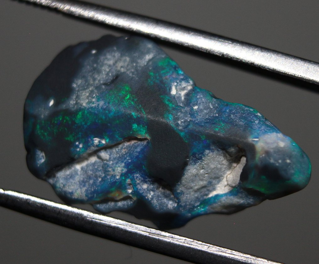 18.60 carats Australian Rough Opal Rough- 3.72 g - (6) #3.2