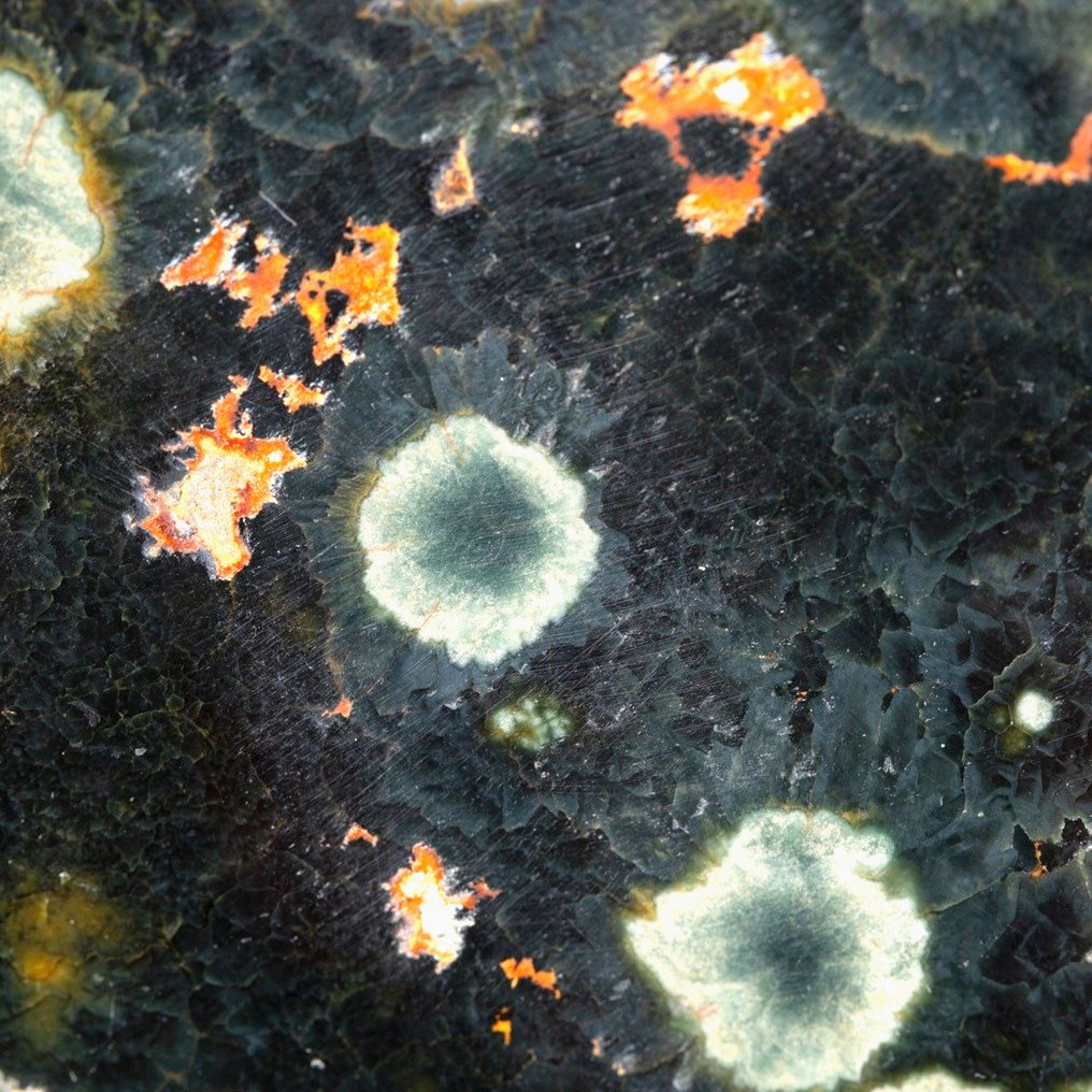 Green Orbicular Jasper - Large Oceanic Green Jasper in Free Form - Height: 320 mm - Width: 230 mm- 15.4 kg #2.1