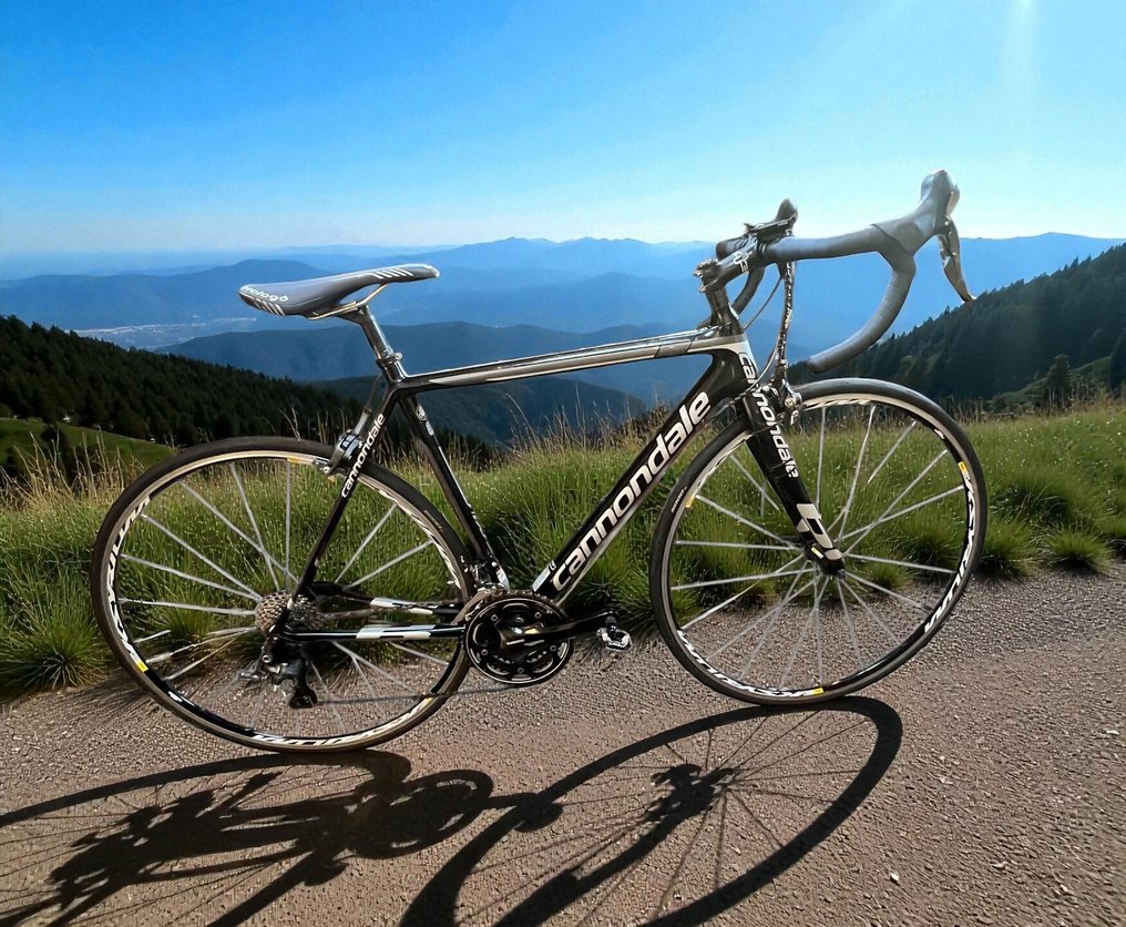 Cannondale - CAAD10 - Rower wyścigowy - 2014 #1.0