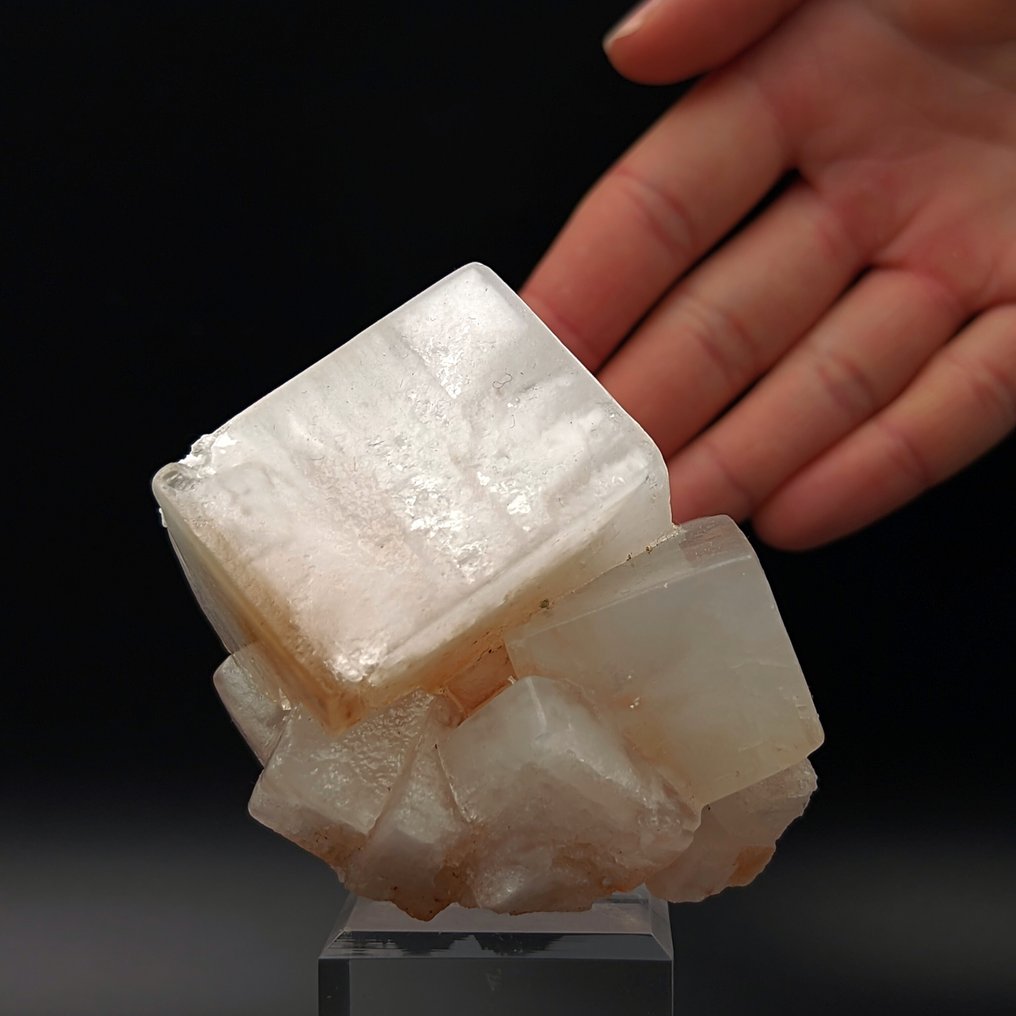 HALITE POLACCA, GROSSI Crystals 4.5cm Crystals - Height: 75 mm - Width: 71 mm- 233 g #3.2