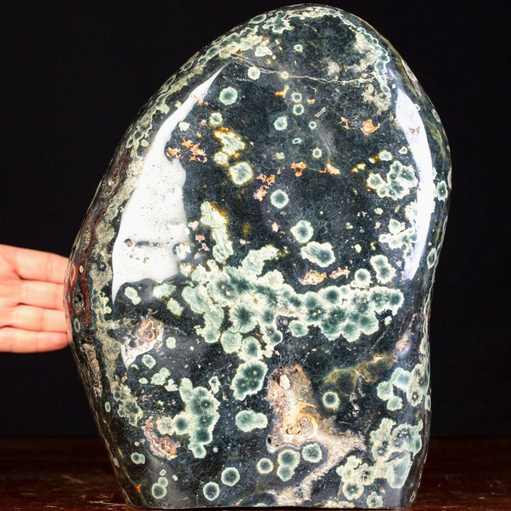 Green Orbicular Jasper - Large Oceanic Green Jasper in Free Form - Height: 320 mm - Width: 230 mm- 15.4 kg #1.0